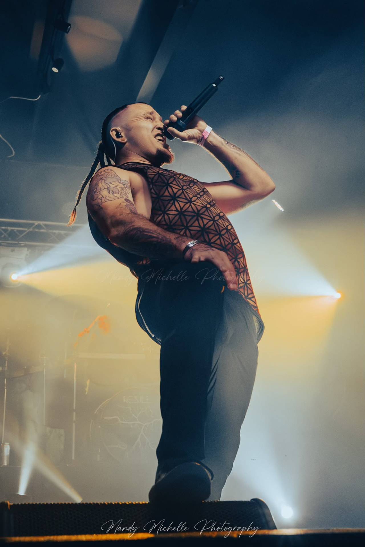 Danny Wilkins — Vocals of Resile